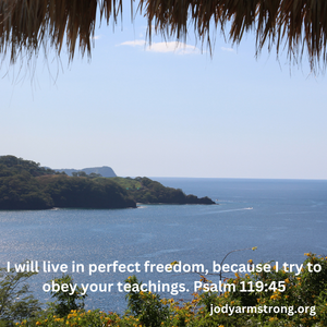 SOAP Devotion Galatians 5:13-15 – How do you use your freedom? Free online Bible study – Commentary in easy English – Day 744